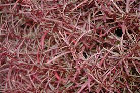 red threads