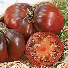 Black Krim