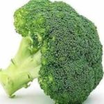 Broccoli Premier (4 Pack)