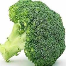 Broccoli Premier