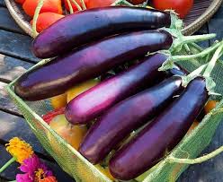 Eggplant Ichiban