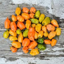 Habanero
