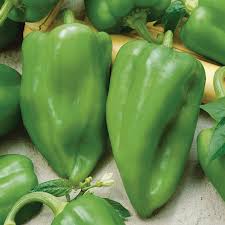 Hot Pepper Ancho Gigantica