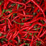 Hot Pepper Cayenne Long Slim (Single)
