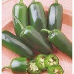 Hot Pepper Fooled You Jalapeno (4 pack)