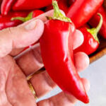 Hot Pepper Fresno Chile (4 Pack)