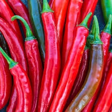 Hot Pepper Garden Salsa