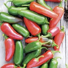 Hot Pepper Jalapeno