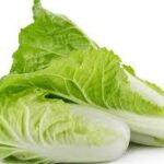 Napa Cabbage Chinese Blues (4 Pack)