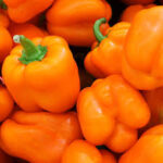 Pepper Orange Sun (Single)