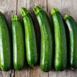 Squash Zucchini Dark Green (Peat Pot)