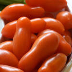 Tomato Small Fruit Sun Dipper (4 Pack)