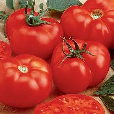 Tomato Beefmaster