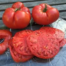 Tomato Beefsteak