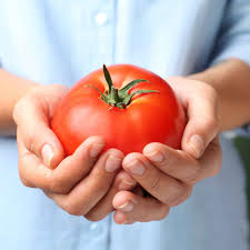 Tomato Big Boy