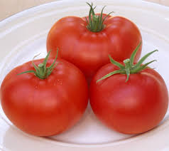 Tomato Champion III
