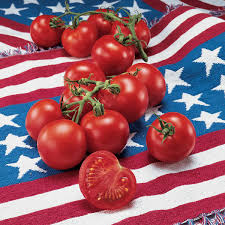 Tomato Fourth of July