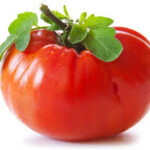 Tomato Goliath (Single)
