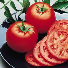 Tomato Goliath Bush