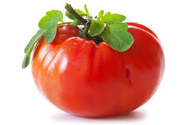 Tomato Goliath