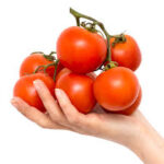 Tomato Jet Star (Single)