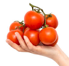 Tomato Jet Star