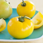 Tomato Lemon Boy (Single)