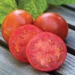 Tomato Sweetie Seedless (4 Pack)