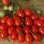 Tomato Small Fruit Grape (Single)