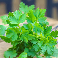 parsley